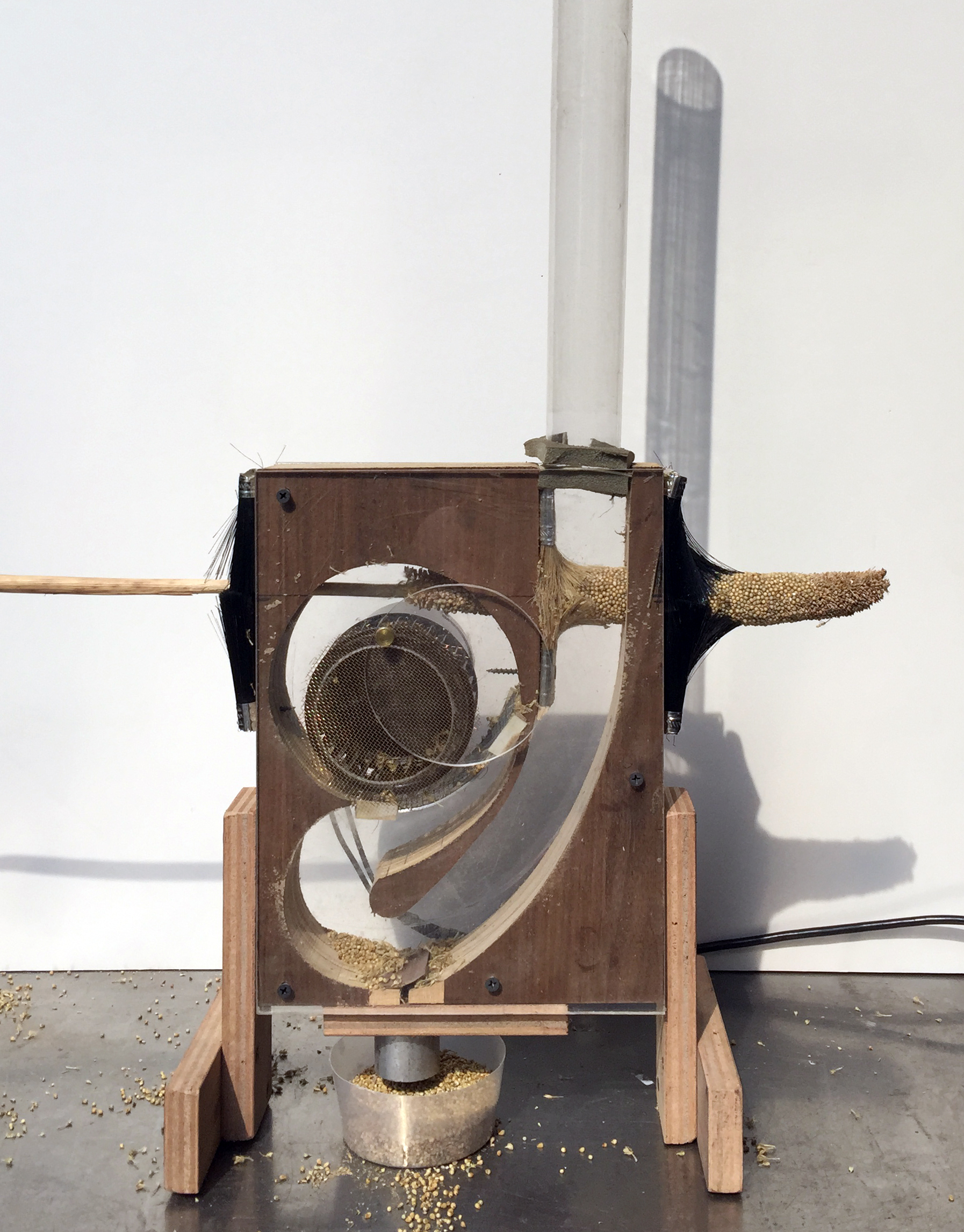 Image of the Ant Farm 1 thresher, a rectangular wooden machine with plexiglass windows revealing an airflow channel, a wheel-shaped fan, and a wire mesh screen. A pearl millet panicle is being fed through the machine, making contact with the top of the fan. The dislodged grain falls to the bottom of the machine and through a hole into a container.